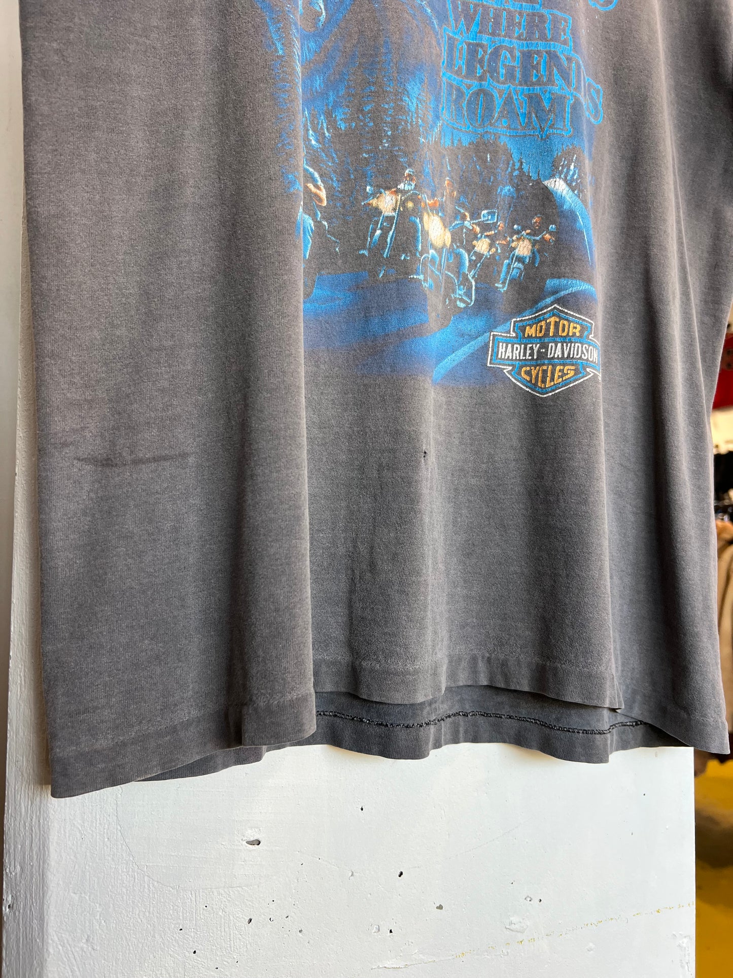 Vintage 90s Fremont Harley Davidson Faded Cut Off Tee