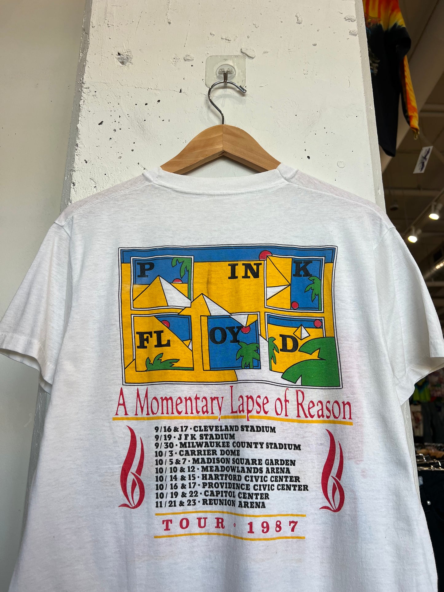 Vintage 1987 Pink Floyd “ A Momentary Lapse of Reason “ Tee