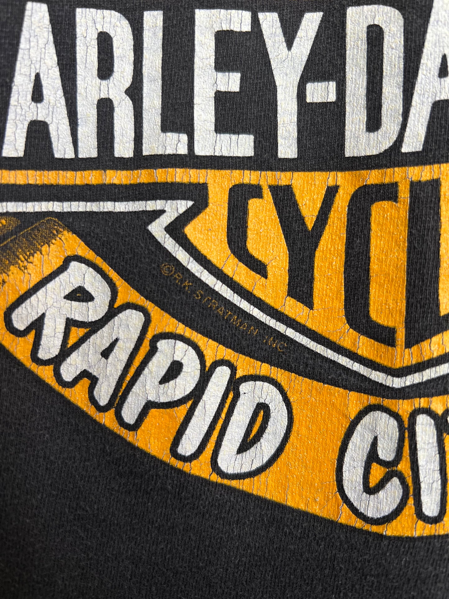 Vintage 1993 Harley Davidson Black Hills Tee