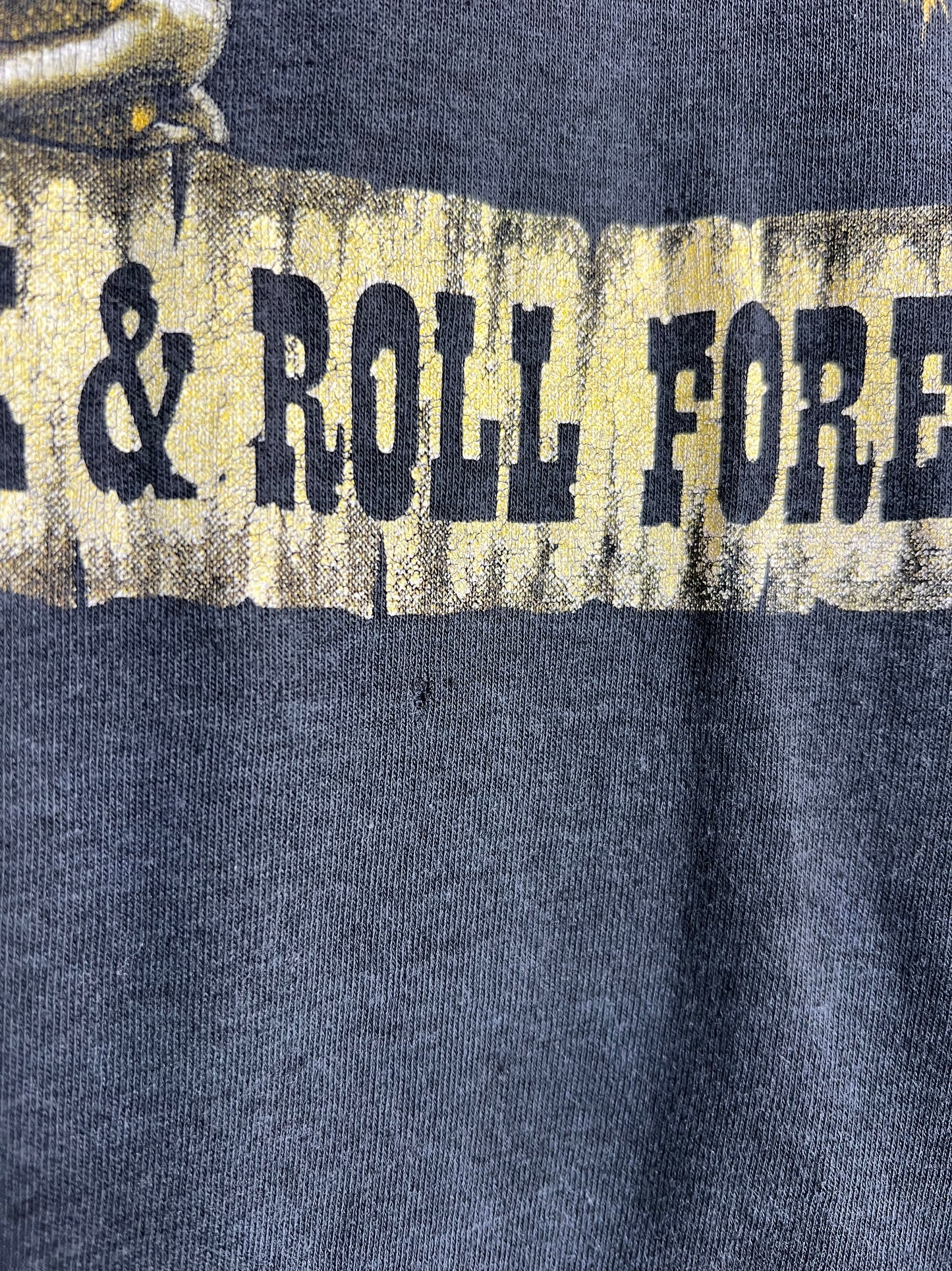 Vintage 1989 Cinderella Tour Tee