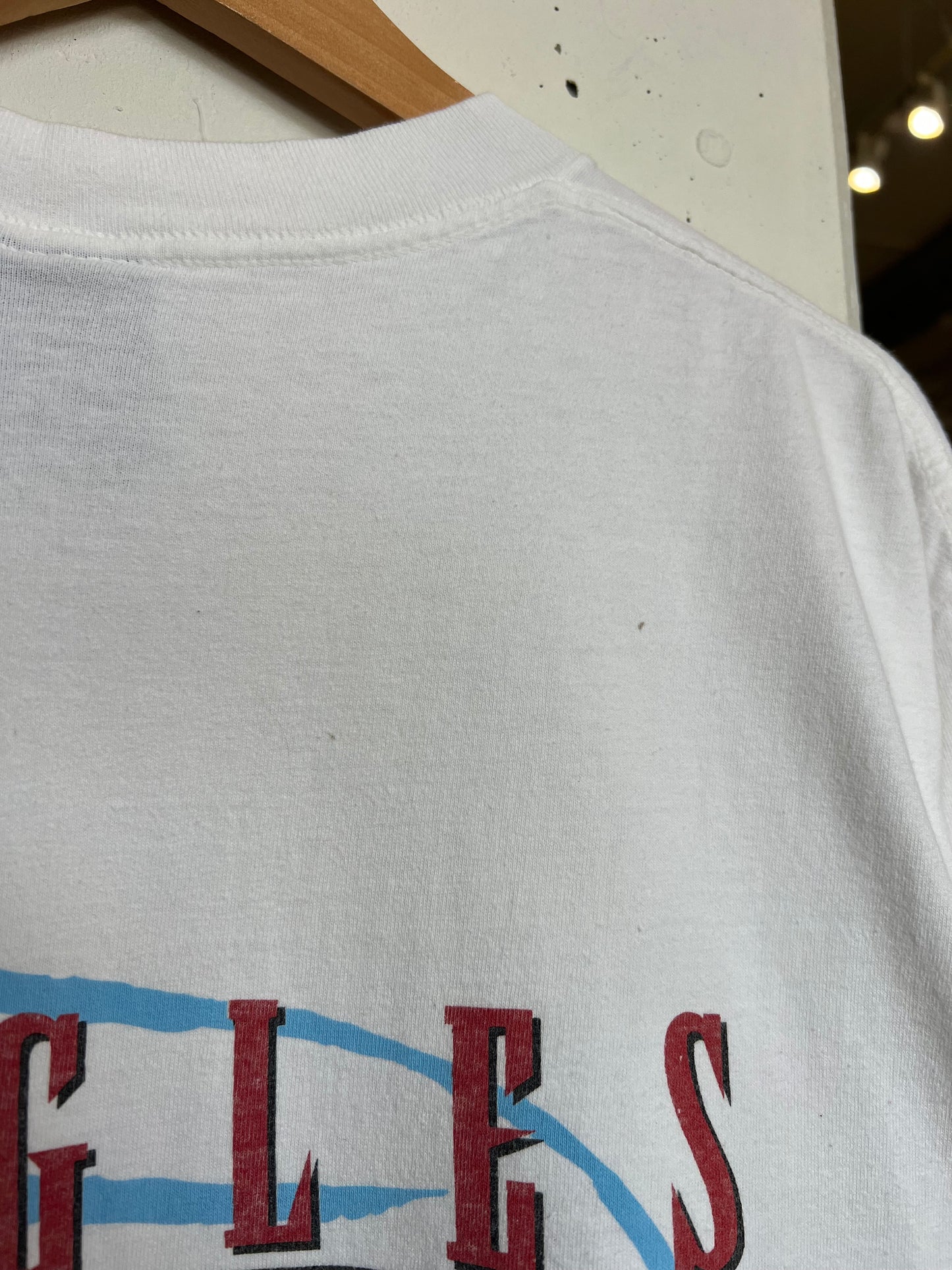 Vintage 1995 The Eagles “ Hell Freezes Over” World Tour Tee