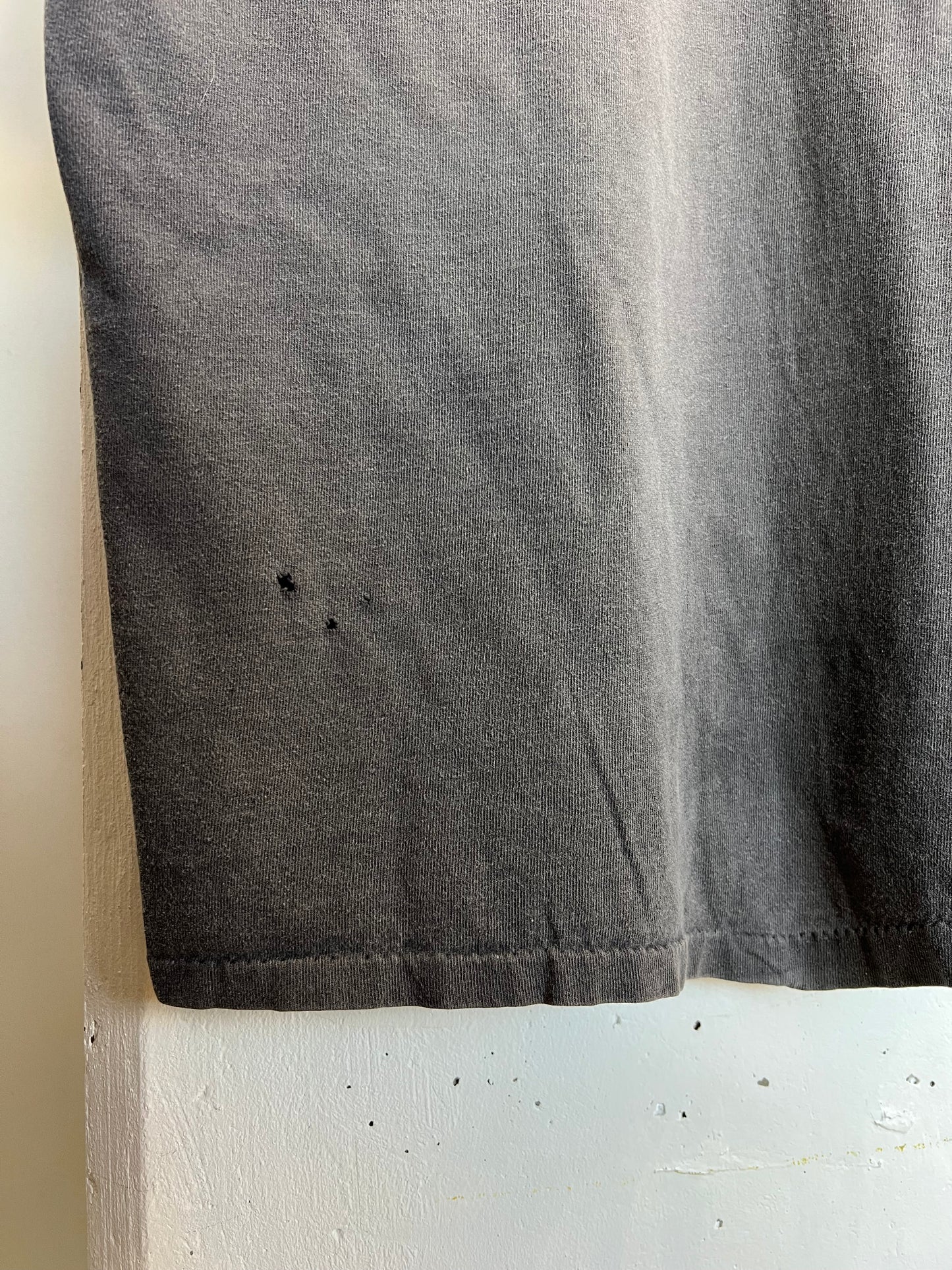 Vintage 90s Harley Davidson “Wild Thing” Faded Tee