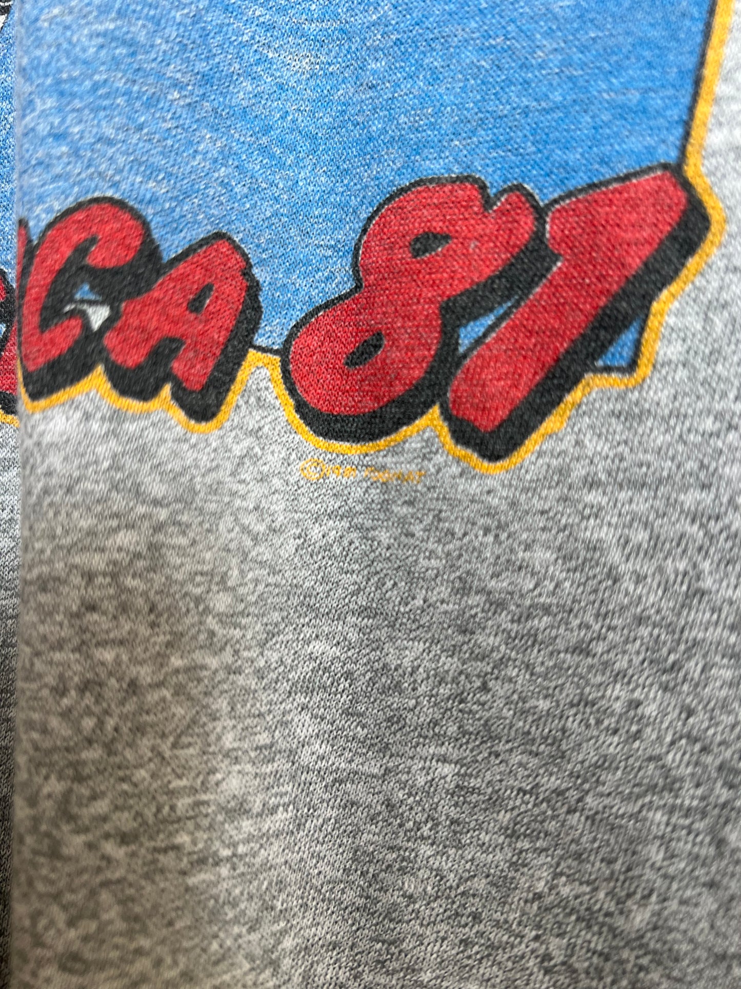 Vintage 1981 Foghat “USA Tour” Raglan Tee