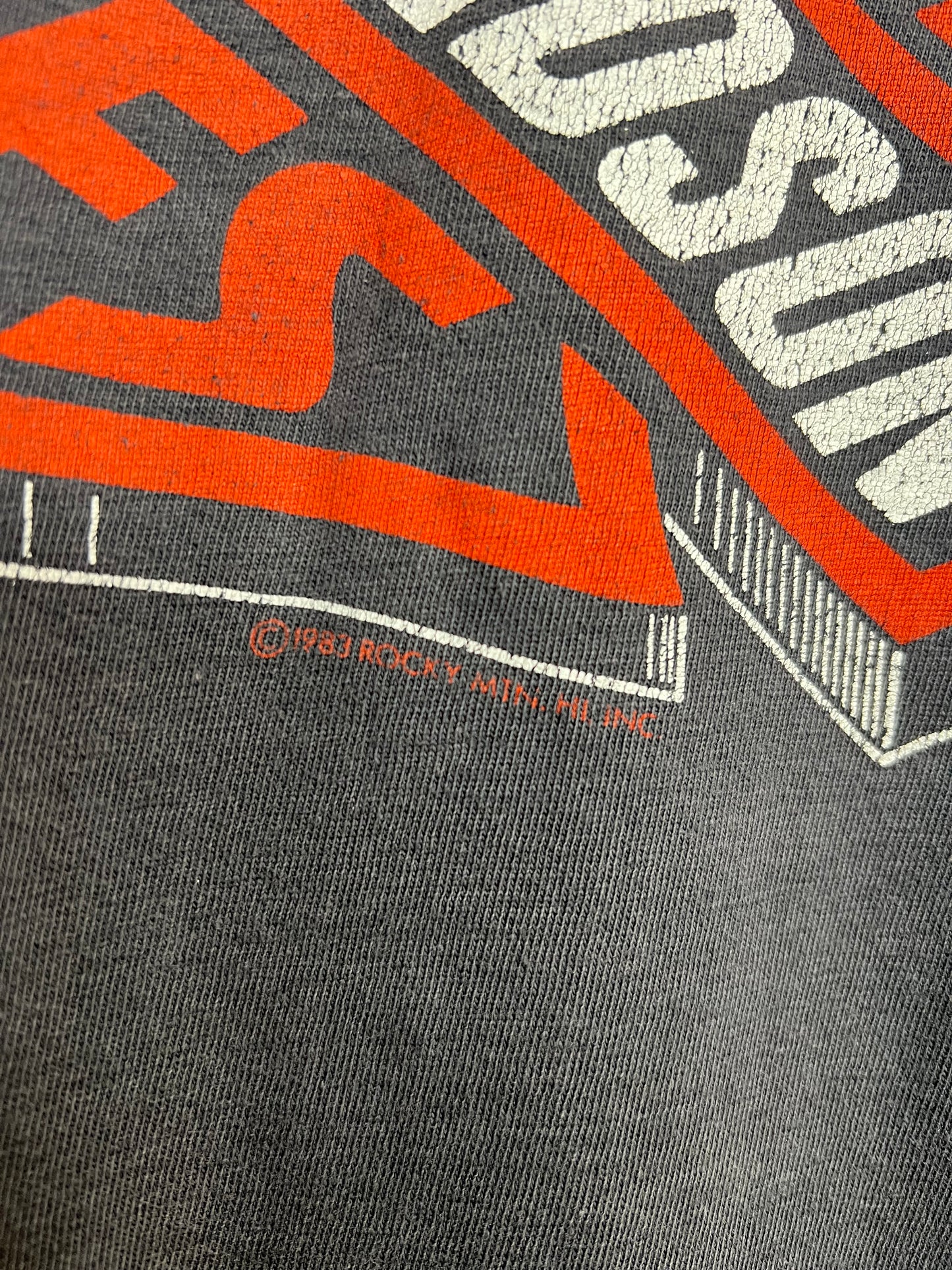 Vintage 80s Denver Harley Davidson Tee