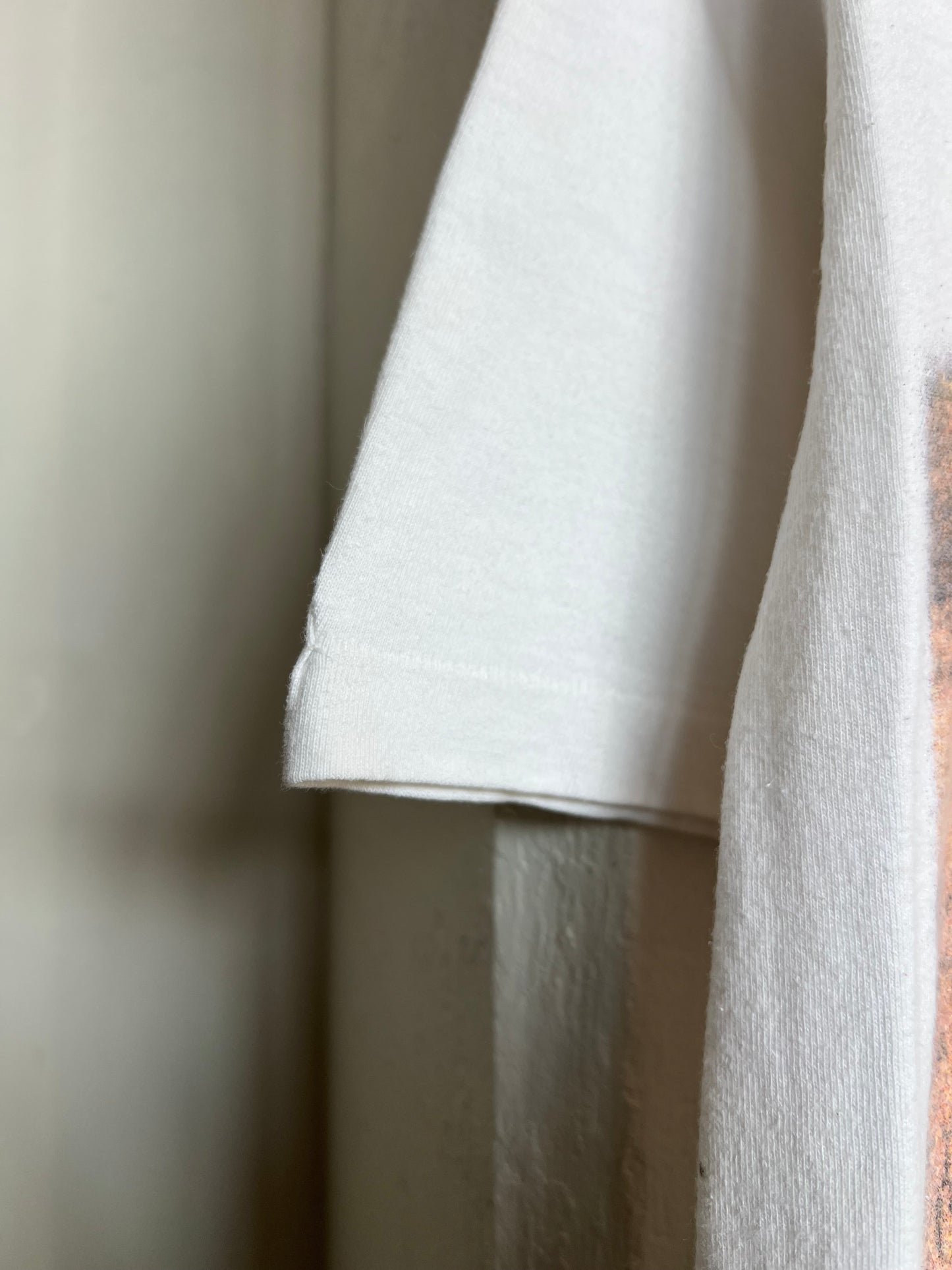 Vintage 1995 The Eagles “ Hell Freezes Over” World Tour Tee