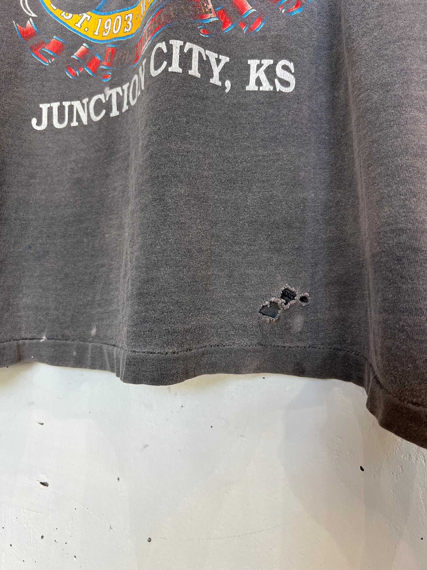 Vintage 90s Junction City Harley Davidson Boxy Cropped Tee