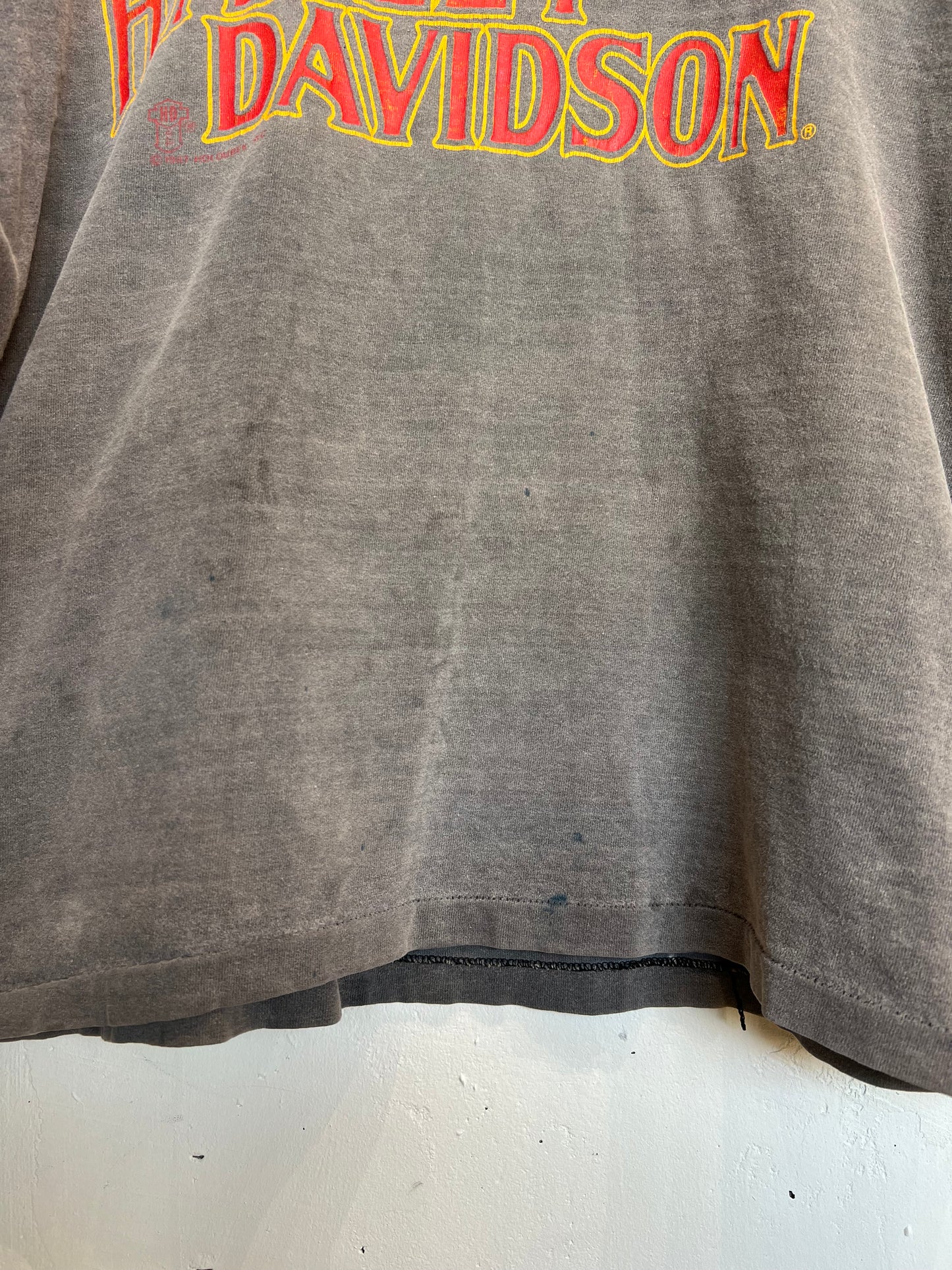 Vintage 90s Junction City Harley Davidson Boxy Cropped Tee