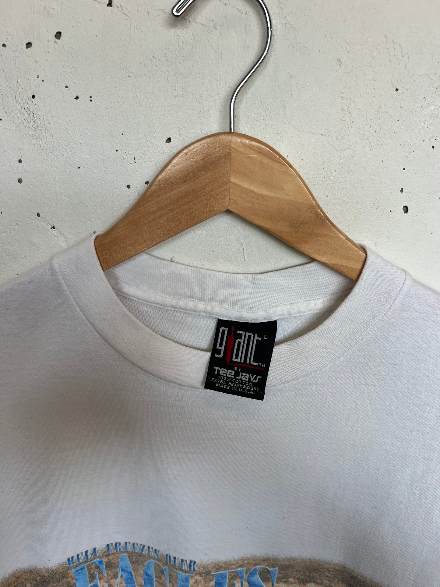 Vintage 1995 The Eagles “ Hell Freezes Over” World Tour Tee