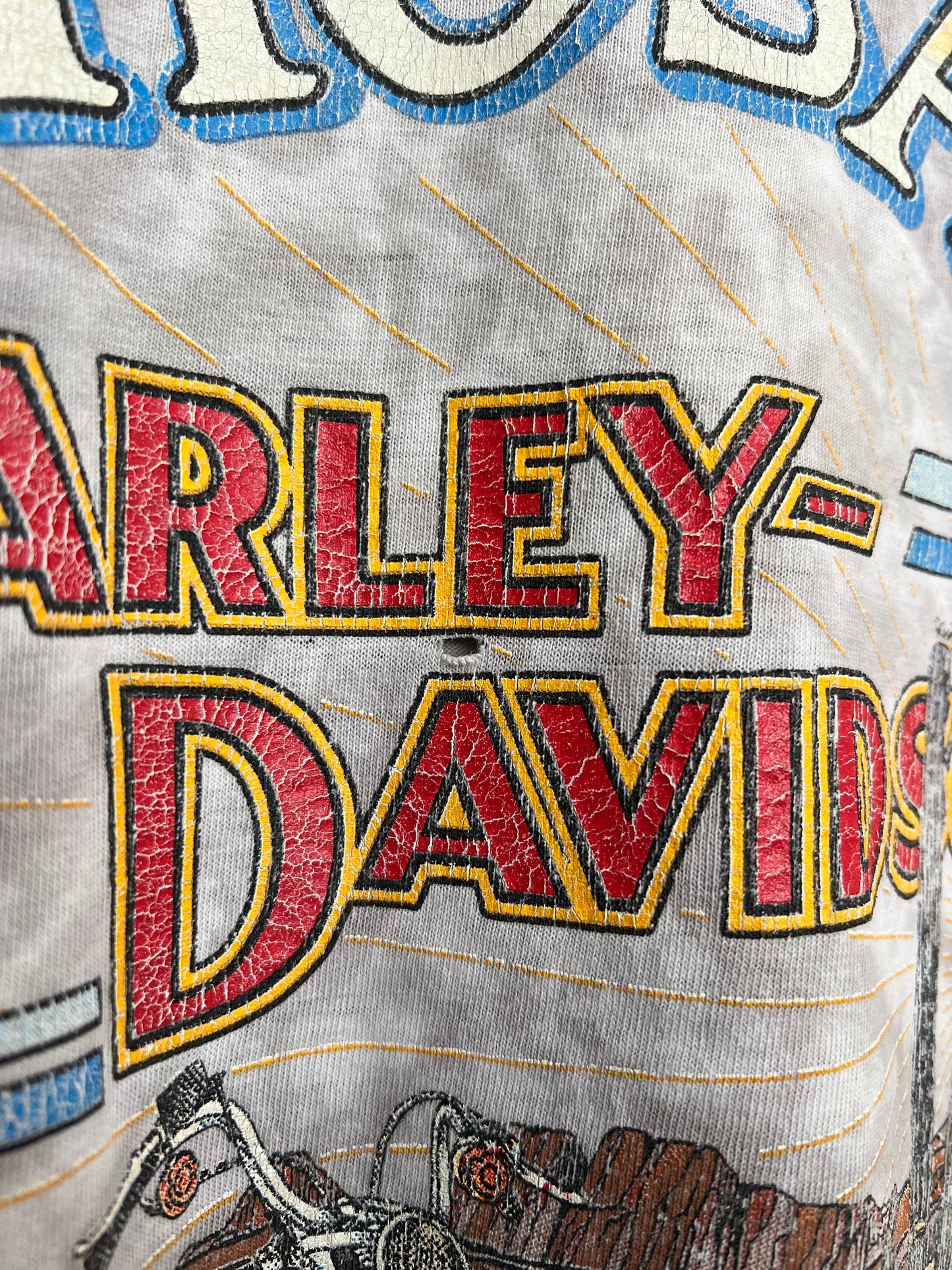 Vintage 1992 Harley Mesa Tie Dye Longsleeve Tee