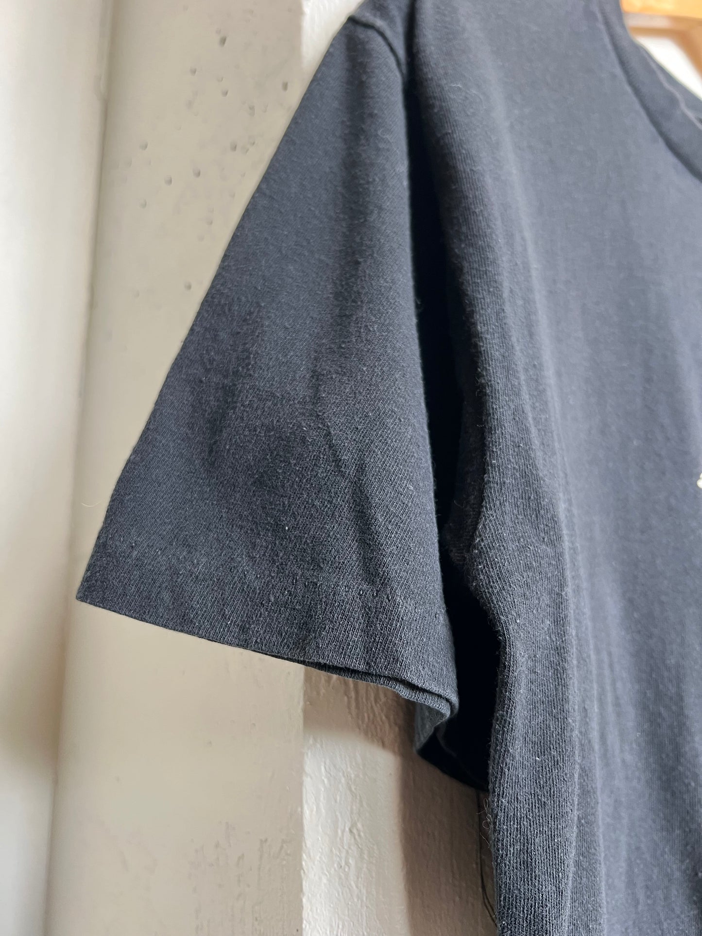 Vintage 2000 Roger Waters Tee