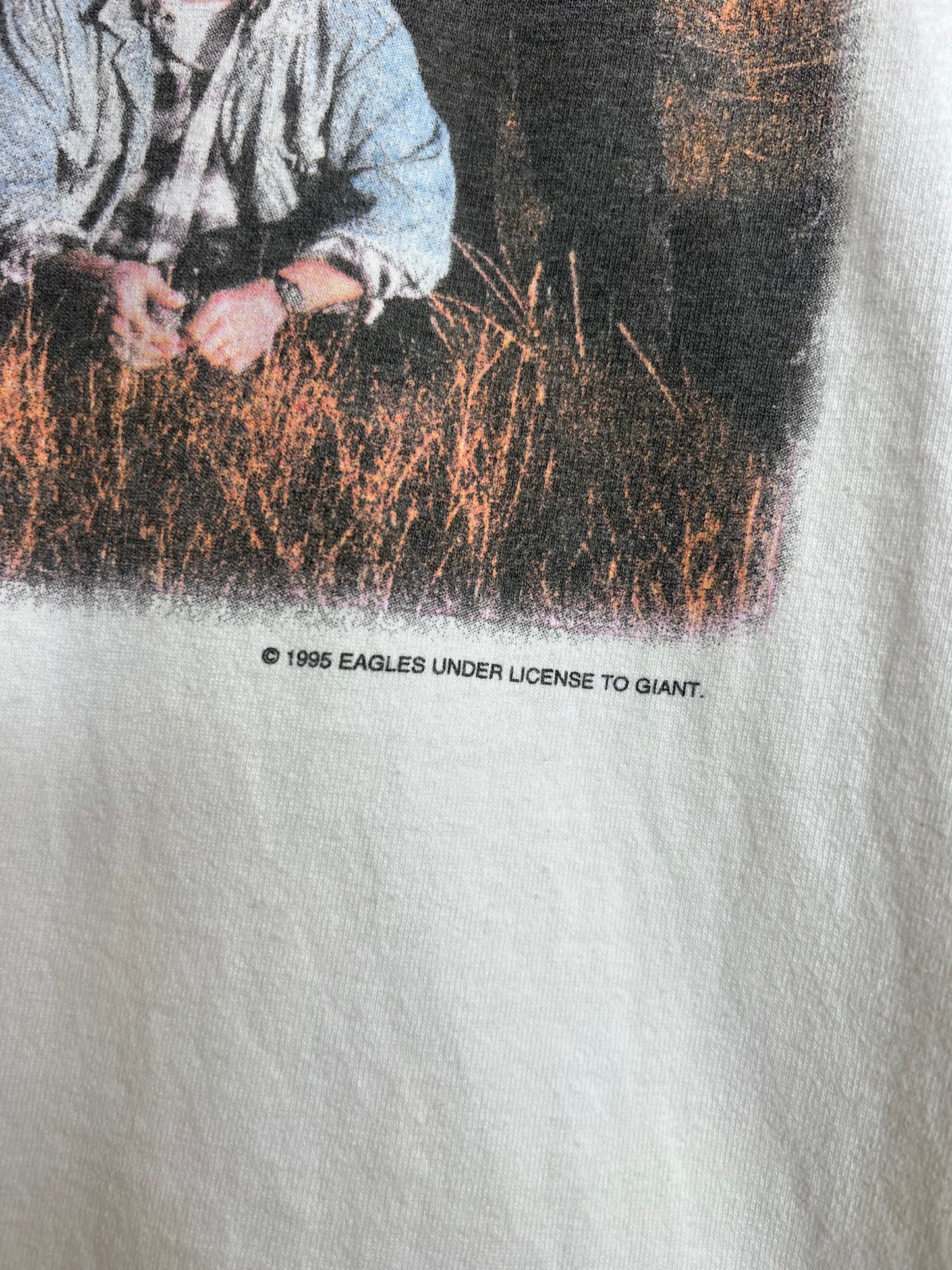 Vintage 1995 The Eagles “Hell Freezes Over” World Tour Tee