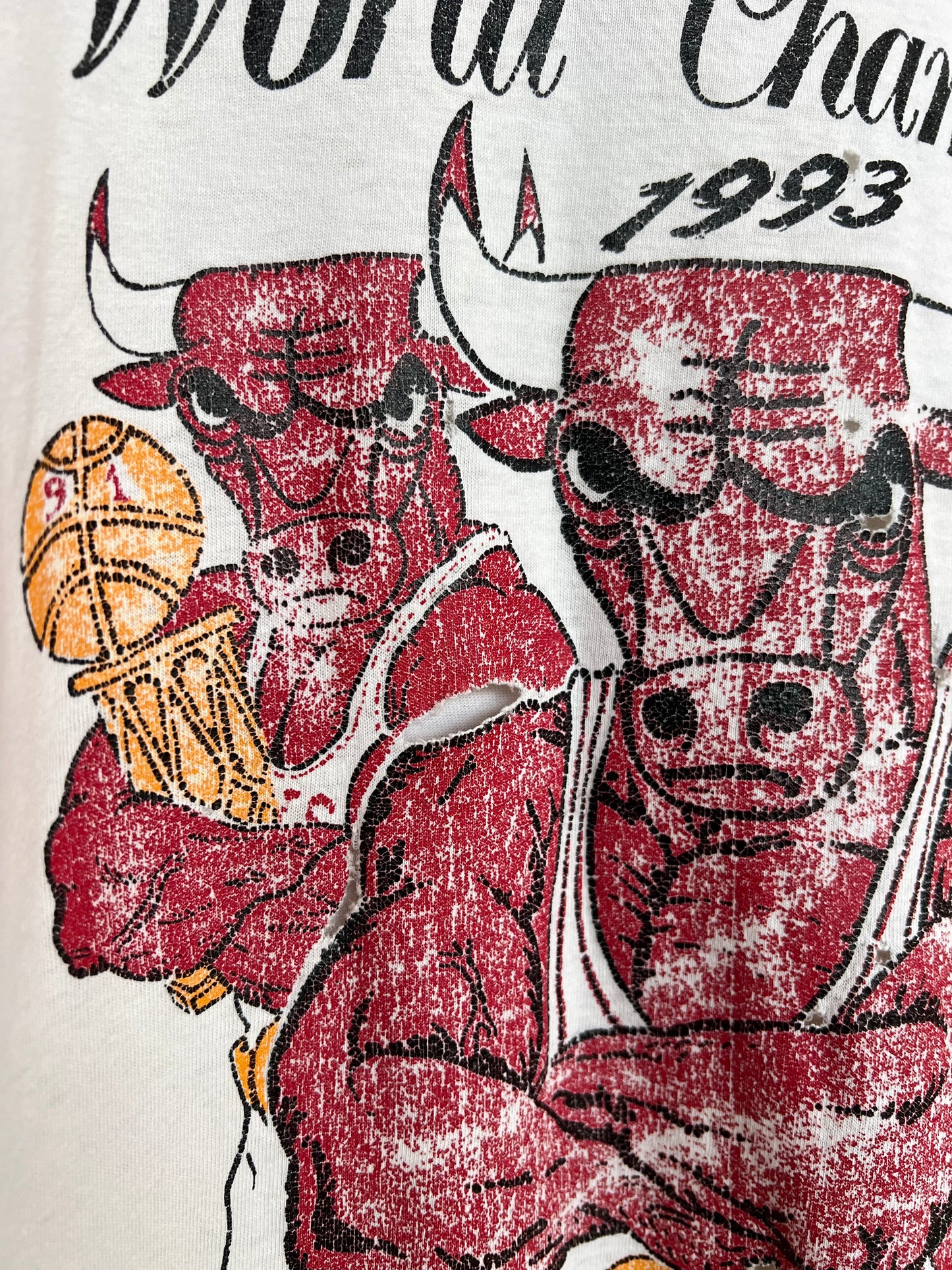Vintage 1993 Chicago Bulls World Champions Tee