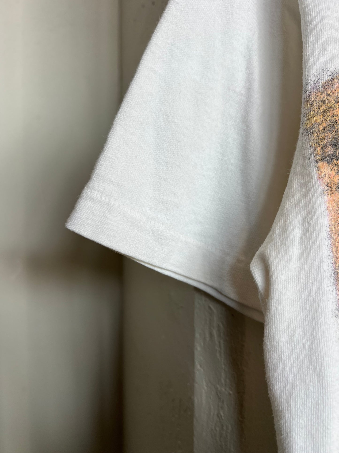 Vintage 1995 The Eagles “Hell Freezes Over” World Tour Tee