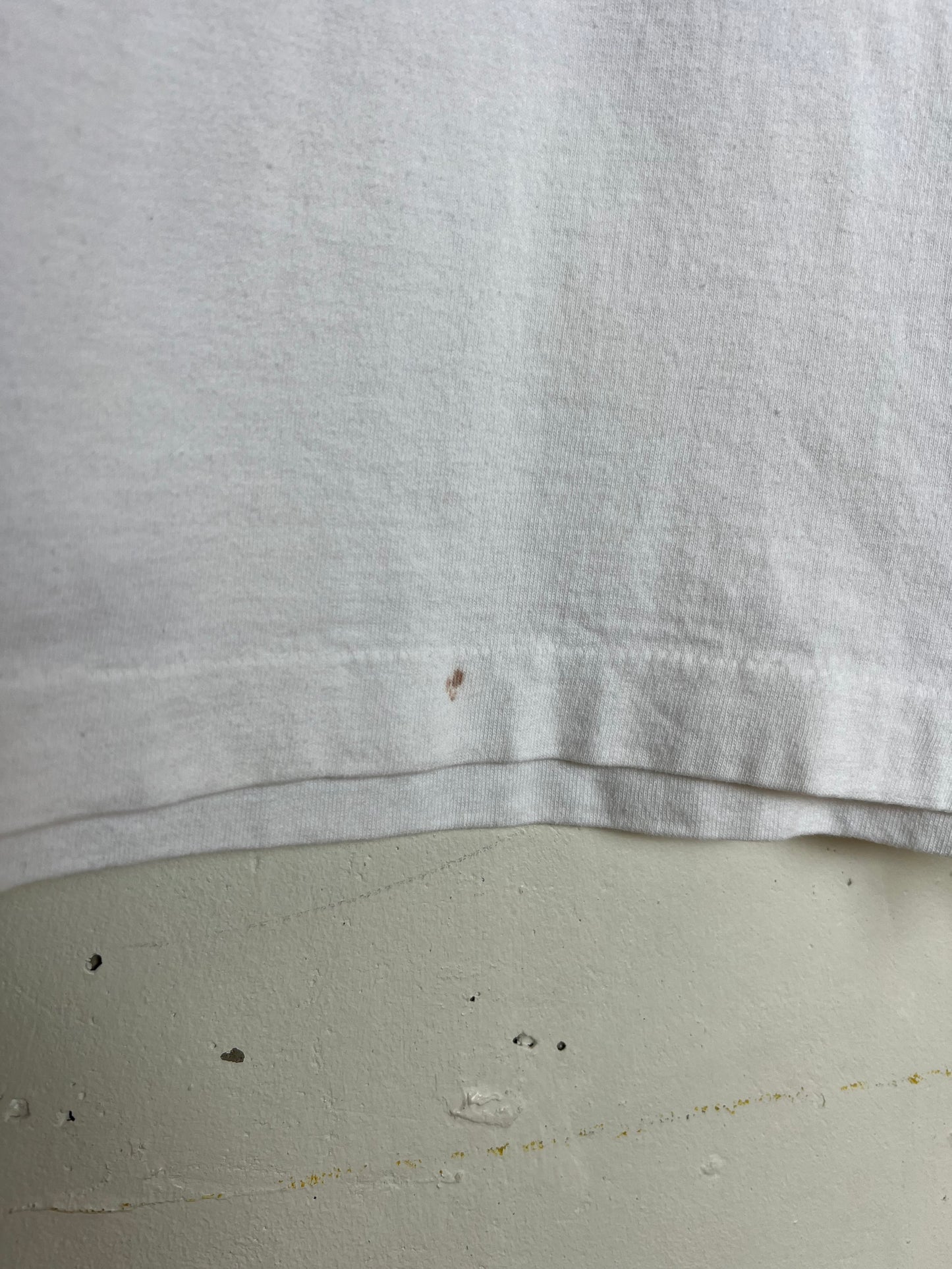 Vintage 1995 The Eagles “ Hell Freezes Over” World Tour Tee