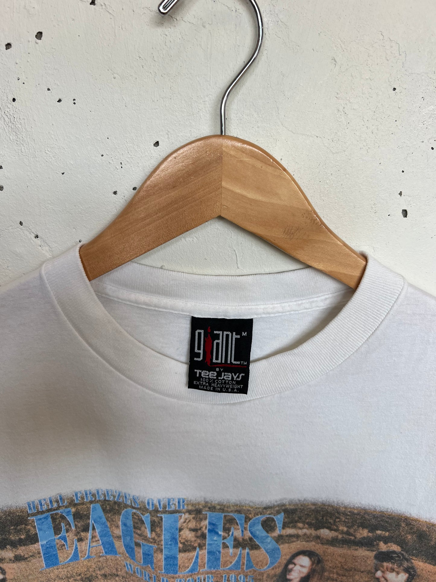 Vintage 1995 The Eagles “Hell Freezes Over” World Tour Tee