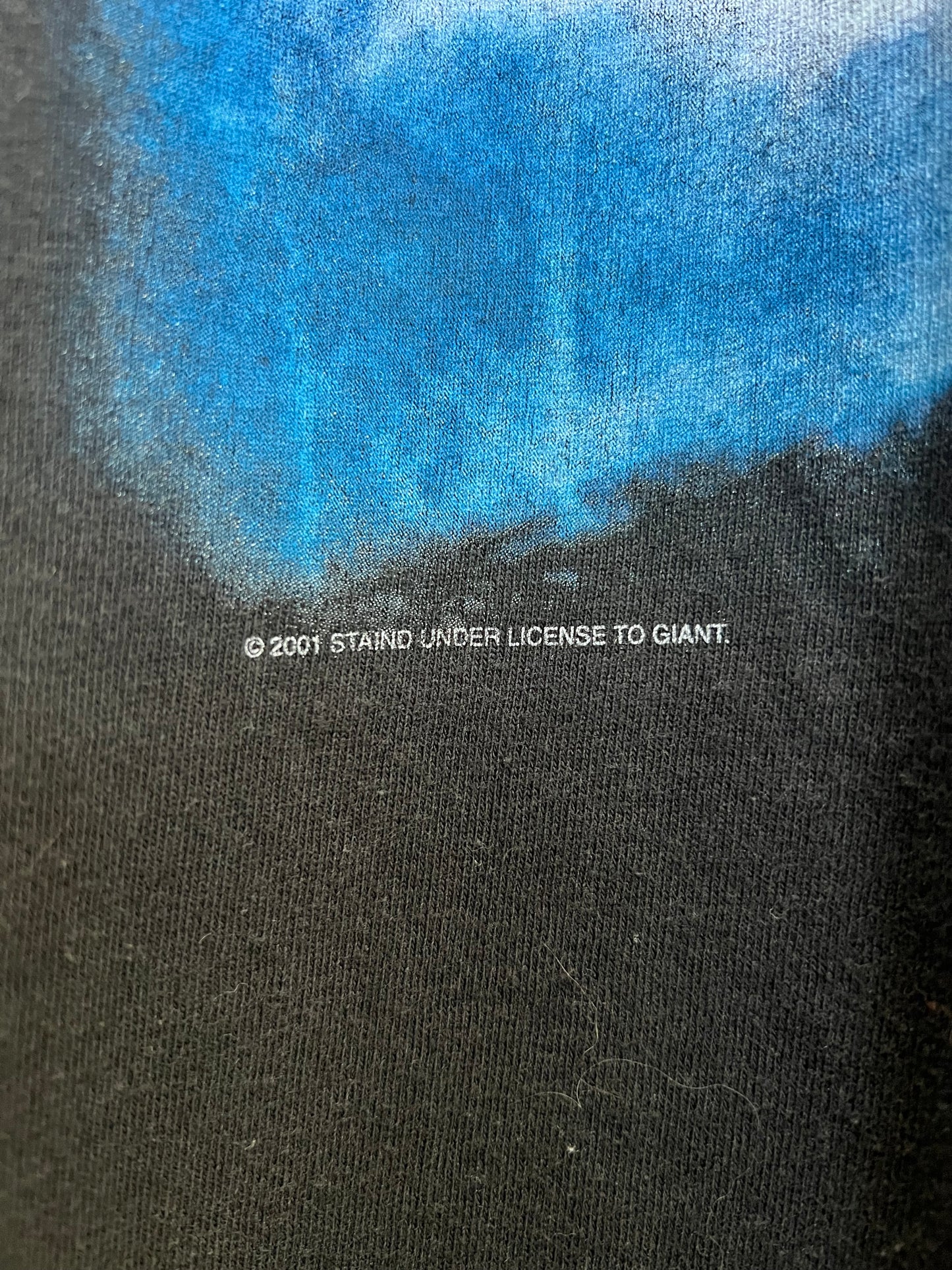Vintage 2001 Staind Tee