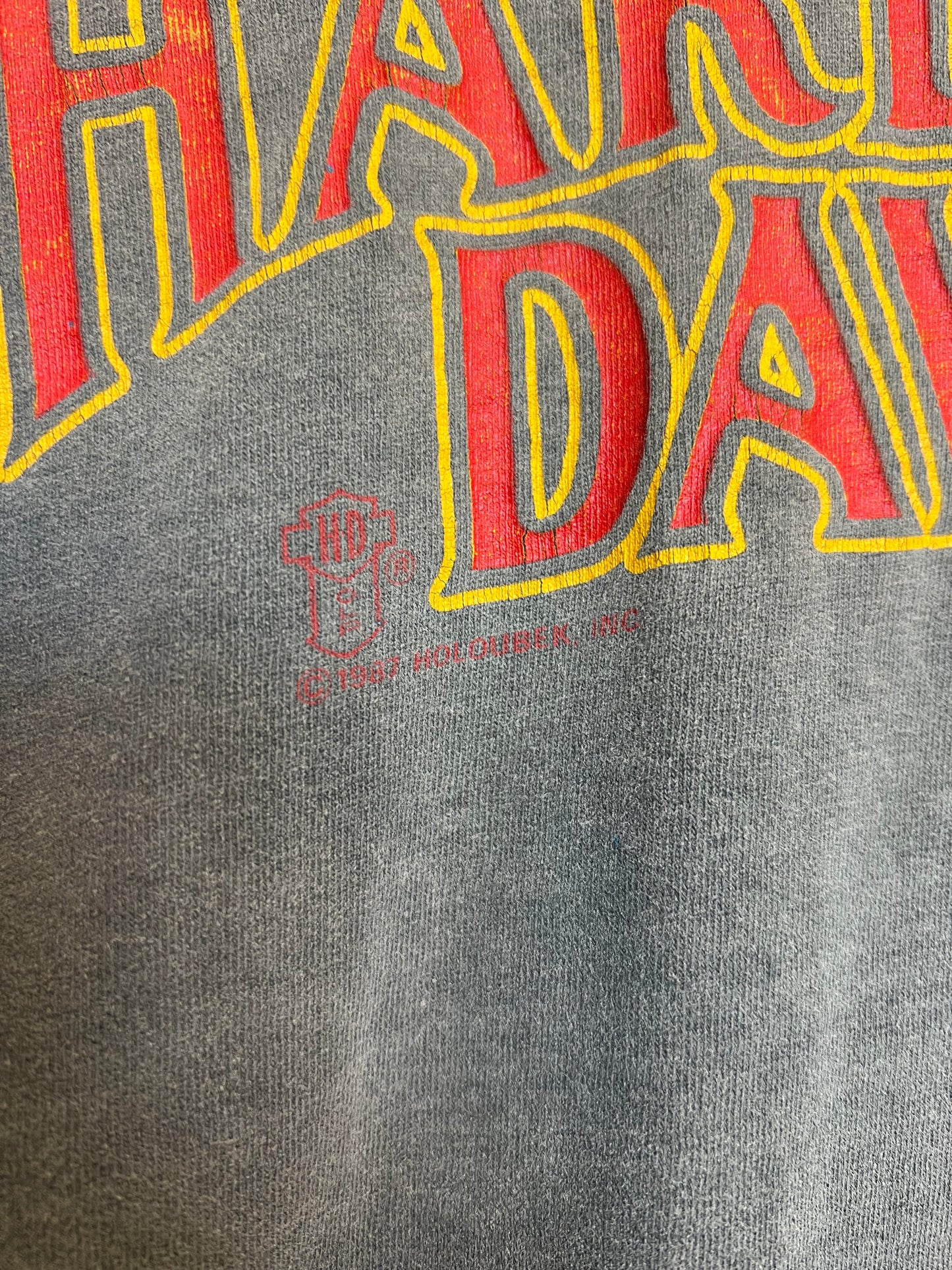 Vintage 90s Junction City Harley Davidson Boxy Cropped Tee