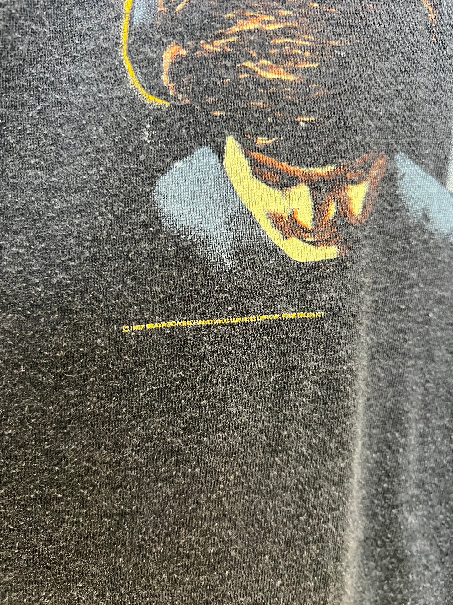 Vintage 1987 Anthrax Tour Tee