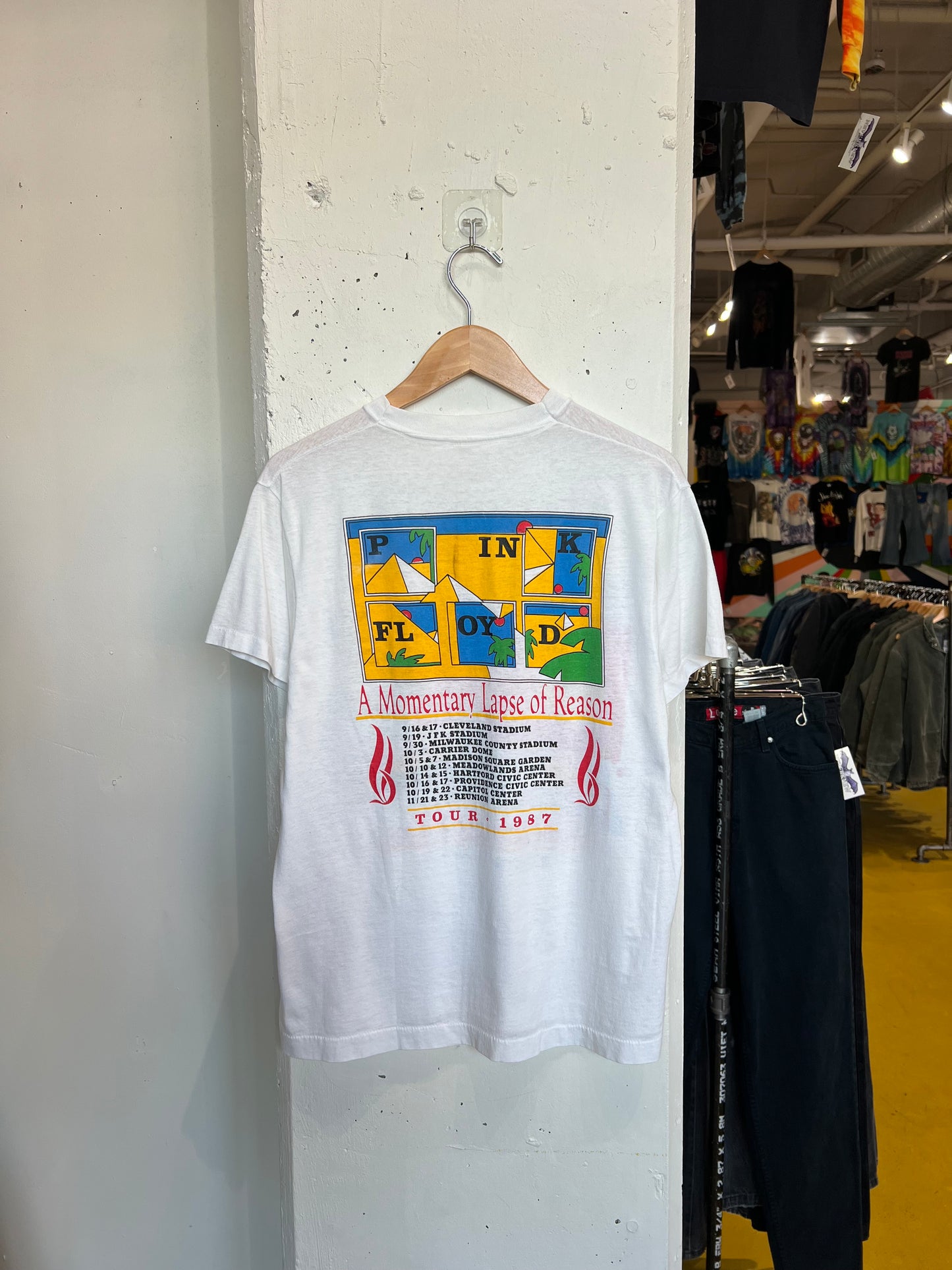 Vintage 1987 Pink Floyd “ A Momentary Lapse of Reason “ Tee