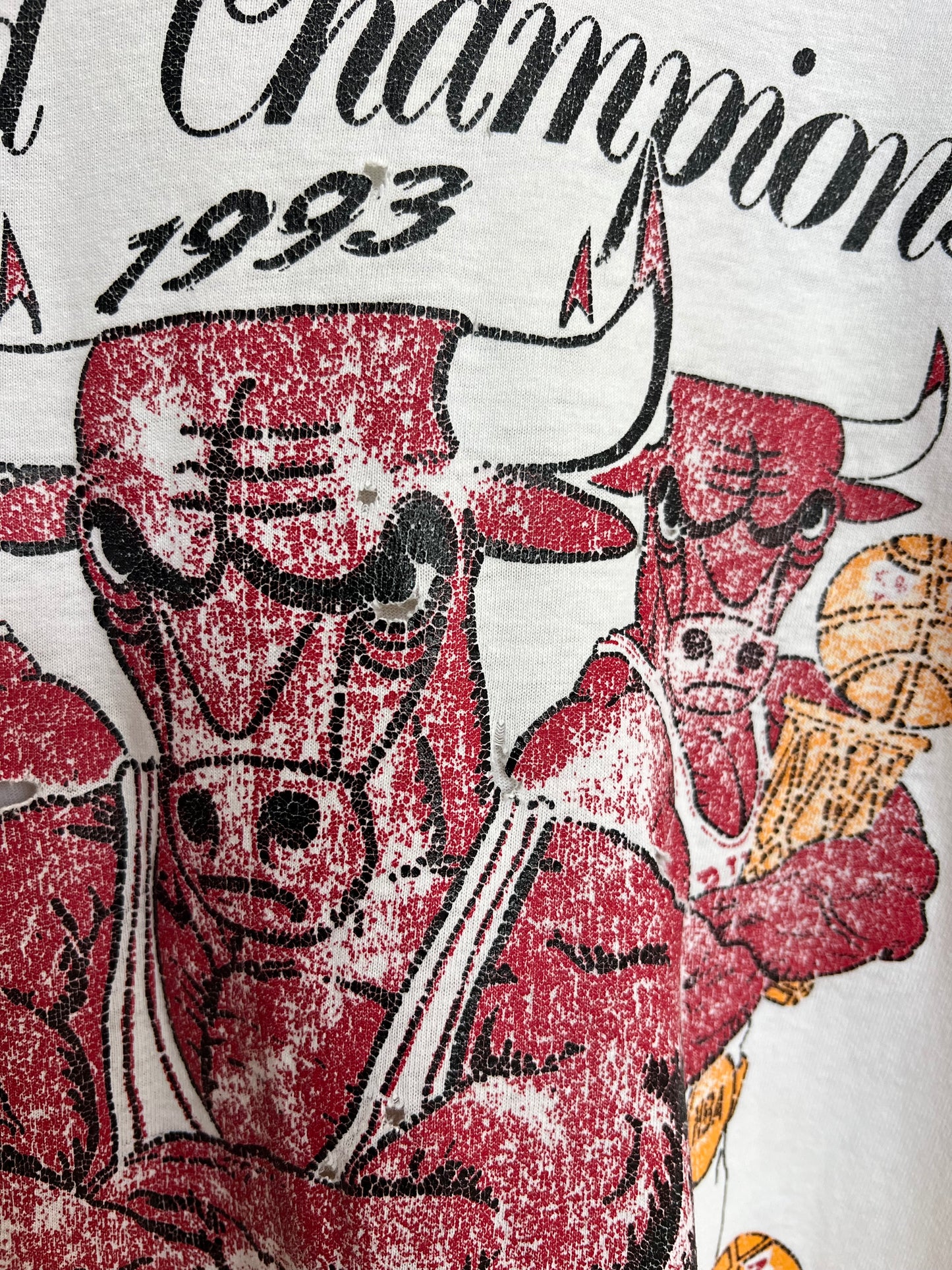 Vintage 1993 Chicago Bulls World Champions Tee