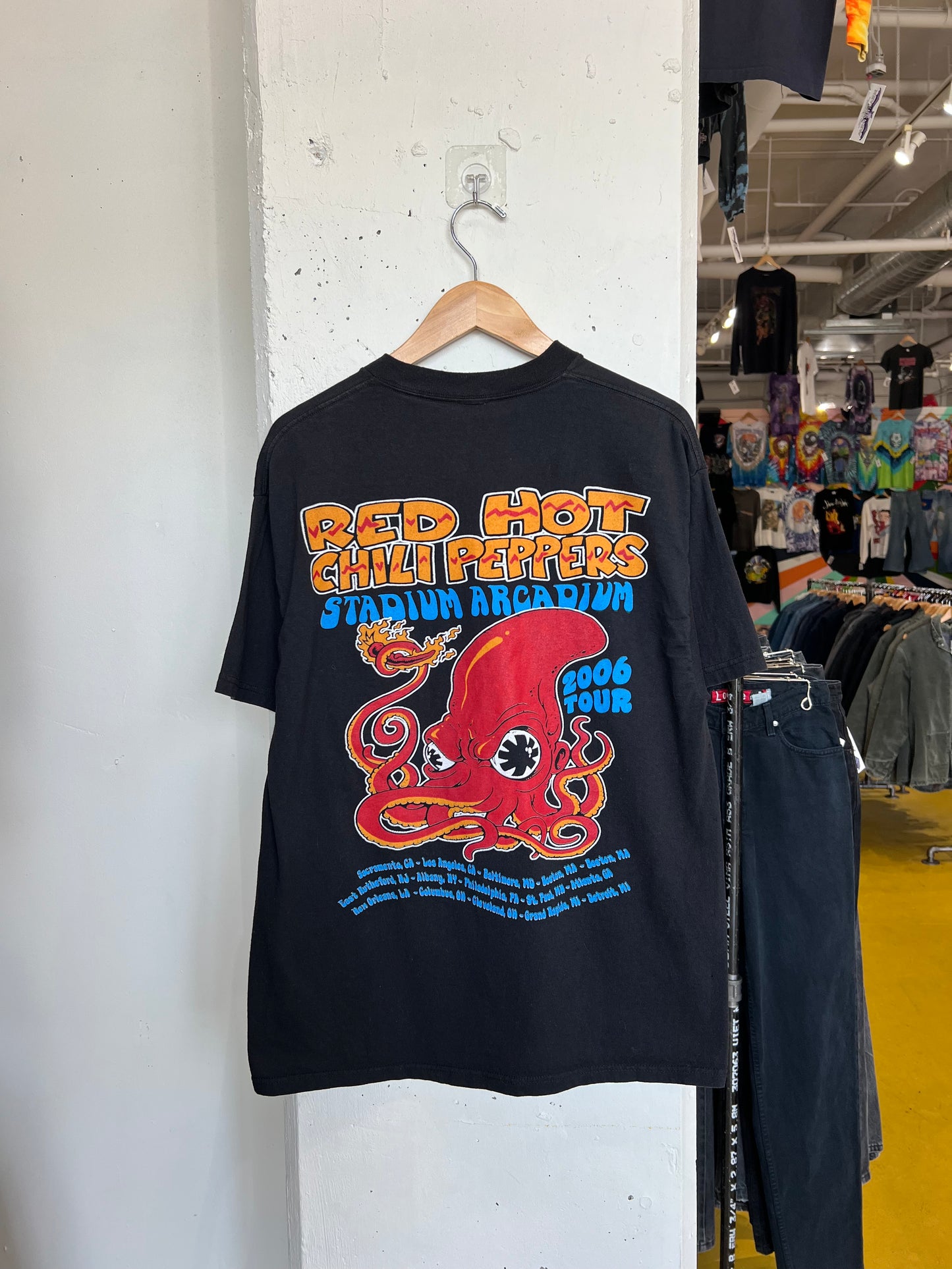 Vintage 2006 Red Hot Chili Peppers Stadium Arcadium Tour Tee