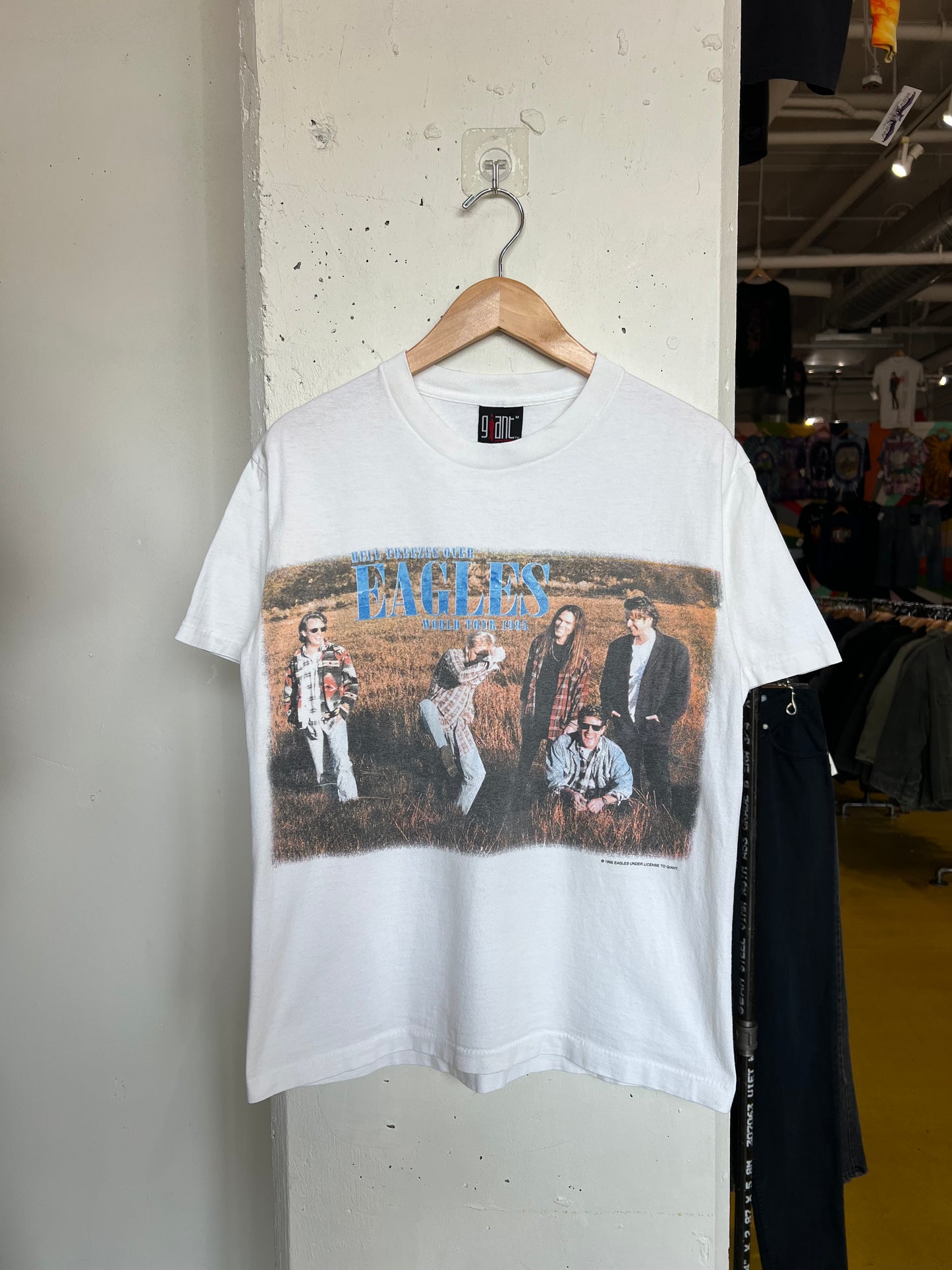 Vintage 1995 The Eagles “Hell Freezes Over” World Tour Tee