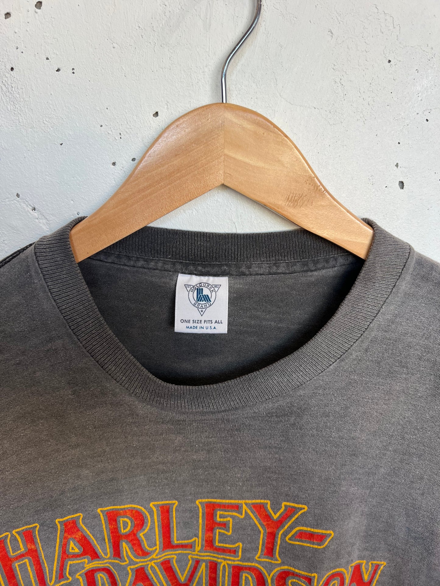 Vintage 90s Junction City Harley Davidson Boxy Cropped Tee